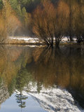 Reflection of Fall Trees in Mirror Lake, Yosemite, California Fotografisk tryk af Rich Reid