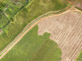 Mechanized Farming in a Region of Industrial Agriculture, Rift Valley, Kenya Photographic Print by Michael Fay