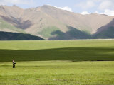Nomad Sheep Herder Walks in a Field with Her Flock in the Distance, Qinghai, China Photographie par David Evans