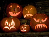 Row of Carved, Lit Pumpkins, Lexington, Massachusetts Photographic Print by Tim Laman