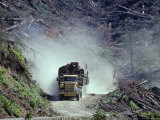 Logging in Washington State Photographic Print by Kenneth Garrett