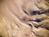Lichens on the Ground Here Subside on a Coastal Fog, Namibia Photographic Print by Michael Fay