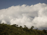 Ridge of Trees, Distant Birds, Silhoutted by Andean Clouds Photographie par David Evans