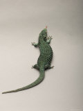 Prehansile Tailed Alligator Lizard from the Sedgwick County Zoo, Kansas Photographic Print by Joel Sartore