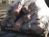Pacific Swordfish Fresh Off the Boat on Wood Pallet, California Photographic Print by James Forte