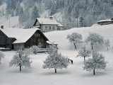 Switzerland, Winter Snow Scene in Alps near Appenzell Photographic Print by Brimberg & Coulson 