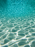 The Sun is Reflected in Patterns in a Pool, San Diego, California Photographic Print by Tim Laman