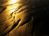 Sun Reflects on Patterns in the Sand, Ventura, California Photographic Print by Stacy Gold