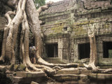 Temples of Angkor, Ta Prohm, Siem Reap, Cambodia, Overtaken by Trees Photographic Print by Richard Nowitz
