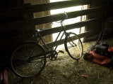 Old Bicycle Catches the Sunlight at the Fenton Farm near Greenleaf, Kansas Lámina fotográfica por Joel Sartore