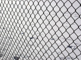 Metal Fence, Chevy Chase, Maryland Photographic Print by Stacy Gold
