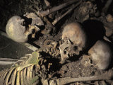 Skeletons of Escaping People Found in the Arcades of Old Harbour in Herculaneum, Italy Photographic Print by Richard Nowitz