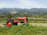 Red Tractor on Farm with Mountains in the Background, California Photographic Print by James Forte