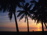 Sun Rise near Placencia, Belize Lámina fotográfica por Bill Hatcher