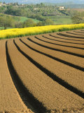 Plowed Bare Field in Provence with Countryside in the Background, France Photographie par Stephen Sharnoff