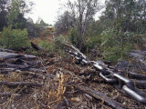 Steel Chain Landclears Trees and Foliage for Agricultural Farmland, Australia Photographie par Jason Edwards