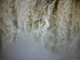 Swift Flies Through the Curtain of Mist Generated by Iguazo Falls Photographie par Jason Edwards
