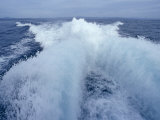 The Powerful Wake from a Motorised Boat as It Heads Out to Sea, Australia Photographic Print by Jason Edwards
