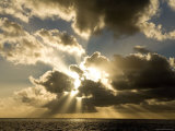 Sunset over the Pacific Photographic Print by Tim Laman