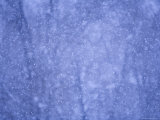 Snow Falling in the Forest Photographie par John Burcham