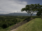 Tree and Mayan Ruins of Tonina, Mexico Photographic Print by Gina Martin
