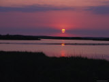 Sunset over the Bay Photographic Print by Stacy Gold