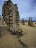 The Ancient Pinnacles, Limestone Formations, Perched in Sand Dunes, Australia Photographie par Jason Edwards