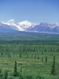 Tundra and the Alaska Range Photographic Print by Rich Reid