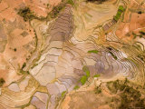 The Paddy Lands of the South Central Plateau in Madagascar Photographic Print by Michael Fay