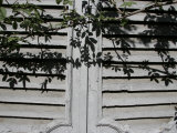 Shuttered Windows on the Side of a House, Italy Impressão fotográfica por Gina Martin Shuttered Windows on the Side of a House, Italy Impressão fotográfica por Gina Martin