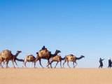 Tuareg Journey Across the Desert to Bilma to Buy Salt for Trade Photographic Print by Michael S. Lewis