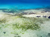The Crystal Blue Water and Shallow Reefs of the Pemba Channel Photographic Print by Michael Fay