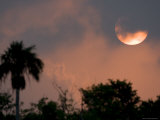 Sunrise over Alafia Bank Bird Sanctuary, Tampa Bay, Florida Photographic Print by Tim Laman