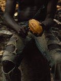 Shirtless, Sitting Man Splits a Cacao Pod with a Knife Fotografie-Druck von James L. Stanfield