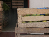 Wood Crate of Fruit, San Cristobal de Las Casas, Mexico Impressão fotográfica por Gina Martin Wood Crate of Fruit, San Cristobal de Las Casas, Mexico Impressão fotográfica por Gina Martin