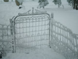 Snow Covered Backyard after a Snowstorm in Lincoln, Nebraska Photographie par Joel Sartore