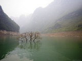 Tree Flooded by the Yangtze Thanks to Three Gorges Dam Project, Yangtze River, China Photographic Print by David Evans