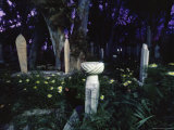 The Cemetery Surrounds the Murad Reis Mosque Photographic Print by James L. Stanfield