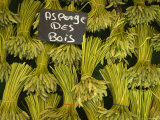 Wild Aspargus for Sale in Market, Paris, France Fotografisk trykk av Brimberg & Coulson