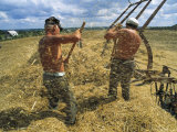 Two Ukrainian Men Rake Straw Onto a Lift after the Wheat Harvest Fotografisk trykk av Sisse Brimberg