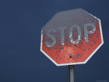 Stop Sign Covered in Snow, Arizona Photographie par John Burcham