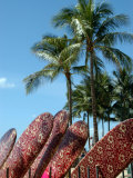 Surfboards for Rent on Waikiki Beach, Oahu, Hawaii Photographie par Stacy Gold