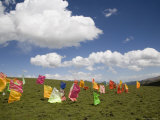 Tibetan Prayer Flags in a Field, Qinghai, China Fotografisk tryk af David Evans