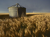 Wheat Field with Stormy Sky Above, Kansas Fotografisk trykk av Brimberg & Coulson