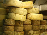 Wheels of Parmesan Cheese on Display, Florence, Italy Photographic Print by Brimberg & Coulson 
