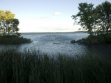 Scenic View Along the Shores of Leech Lake in Minnesota Photographie par Joel Sartore