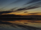 Small Lake in the Middle of a Bog in the Early Dawn Light Photographie par Mattias Klum