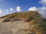 Wind Blown Grass Tussocks Precariously Attached to a Sand Dune, Coorong National Park, Australia Photographie par Jason Edwards
