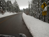 Snowy Scenes Along a New Mexico Highway Photographie par Joel Sartore