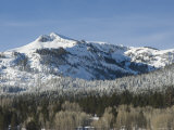 Snow Covered Trees and Mountain on a Bluebird Day, California Photographie par James Forte